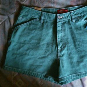 Dickies, junior size 11\30 shorts turquoise